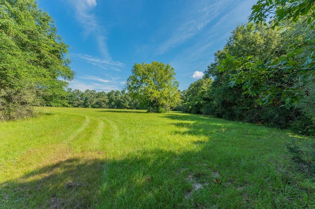 139ACRES Yorkey Rd, Westville, FL 32464 - photo 16