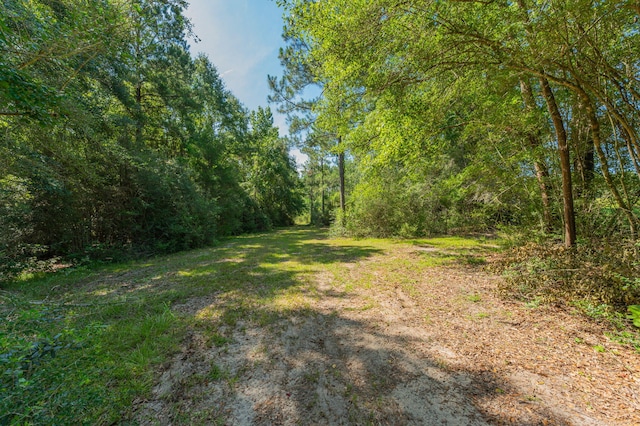 139ACRES Yorkey Rd, Westville, FL 32464 - photo 24