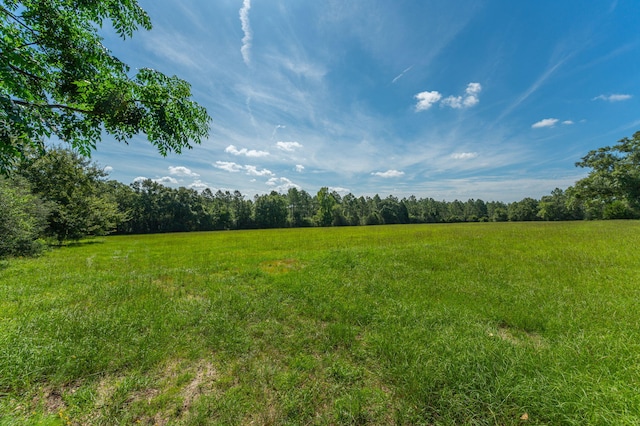 139ACRES Yorkey Rd, Westville, FL 32464 - photo 10