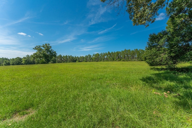 139ACRES Yorkey Rd, Westville, FL 32464 - photo 11