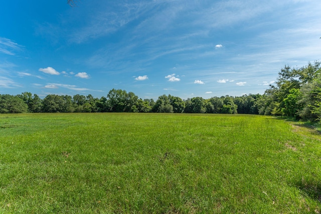 139ACRES Yorkey Rd, Westville, FL 32464 - photo 15