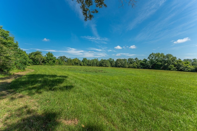 139ACRES Yorkey Rd, Westville, FL 32464 - photo 17