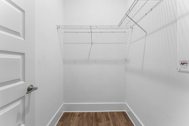 34 W Majestic Palm Dr, Inlet Beach, FL 32461 - walk in closet with dark wood finished floors