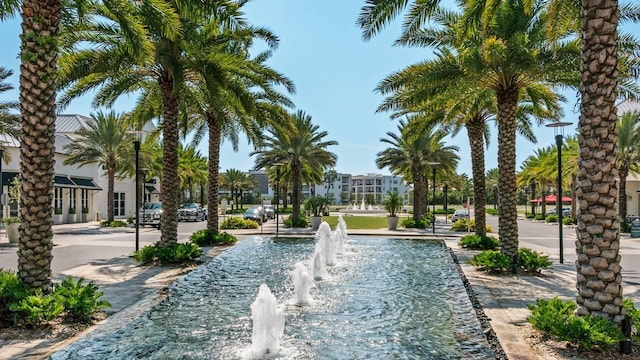 34 W Majestic Palm Dr, Inlet Beach, FL 32461 - view of community