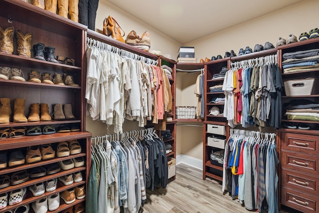 134 Mussett Bayou Ct, Santa Rosa Beach, FL 32459 - spacious closet with light wood-style flooring