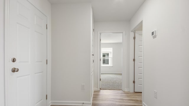 207 Eunola Ln, Freeport, FL 32439 - corridor featuring light wood-style floors and baseboards