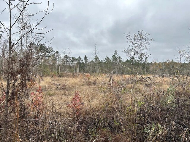 TRACT6402 Chance Rd, Chipley, FL 32428 - photo 5
