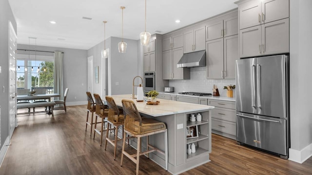 28 W Queen Palm Dr, Inlet Beach, FL 32461 - kitchen featuring stainless steel appliances, under cabinet range hood, gray cabinetry, dark wood-type flooring, and decorative backsplash