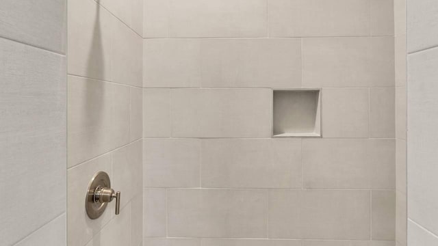 28 W Queen Palm Dr, Inlet Beach, FL 32461 - bathroom view of a tile shower