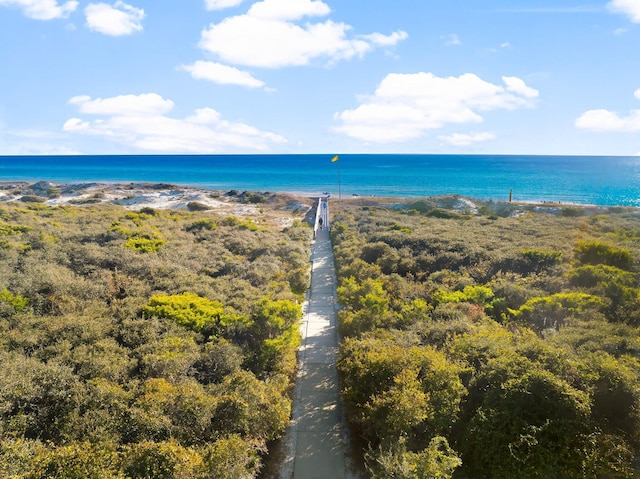 28 W Queen Palm Dr, Inlet Beach, FL 32461 - water view with local beach