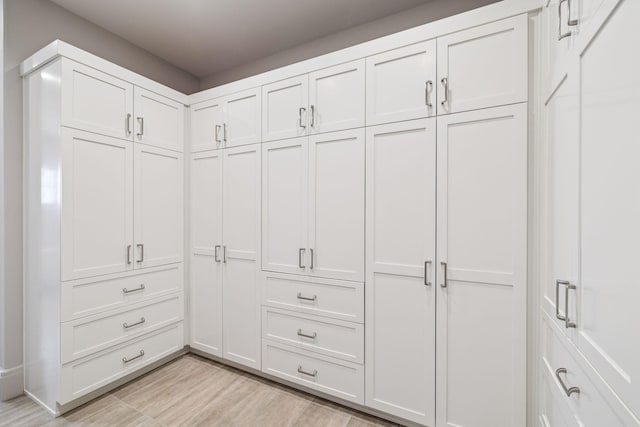 31 Driftwood Ct, Santa Rosa Beach, FL 32459 - spacious closet featuring light wood-style floors