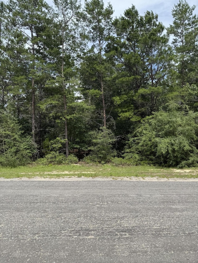 LOTS1-4 Watson Rd, Defuniak Springs, FL 32433