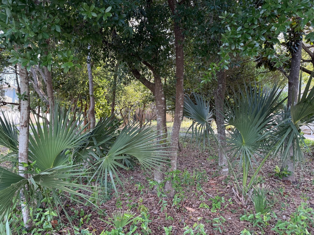 317 Main St, Destin, FL 32541 - photo 2
