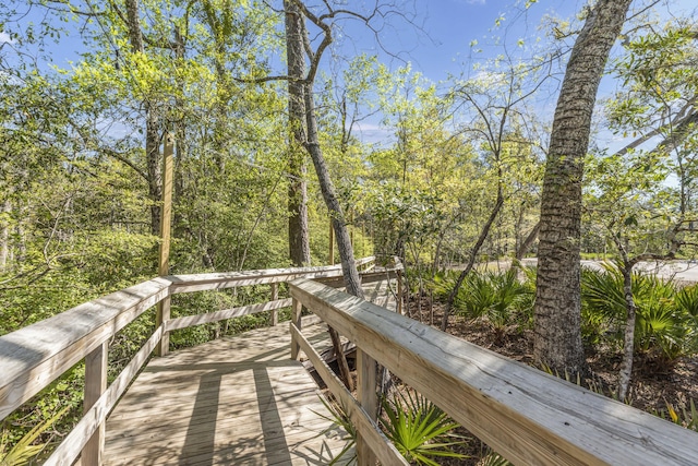 221 Sweet Tea Ln, Freeport, FL 32439 - photo 59