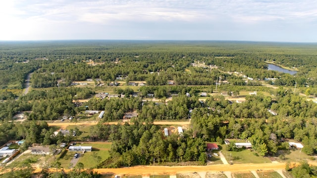 LOTS4 E Laurel Ln, Defuniak Springs, FL 32433 - photo 1