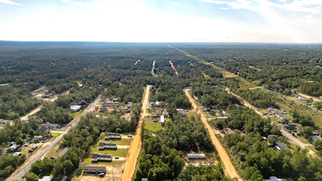 LOTS4 E Laurel Ln, Defuniak Springs, FL 32433 - photo 10