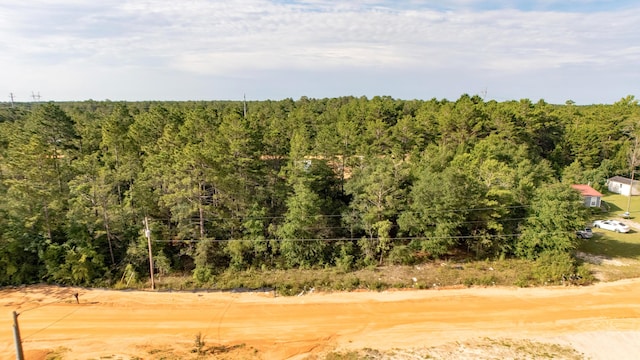 LOTS4 E Laurel Ln, Defuniak Springs, FL 32433 - photo 2