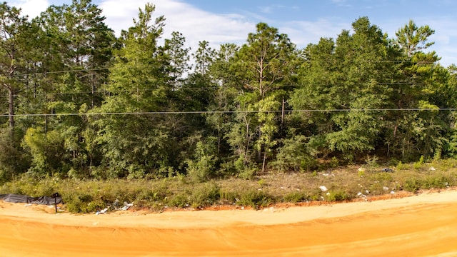 LOTS4 E Laurel Ln, Defuniak Springs, FL 32433 - photo 3