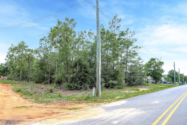LOT4 Leonardo Ln, Defuniak Springs, FL 32433 - photo 3