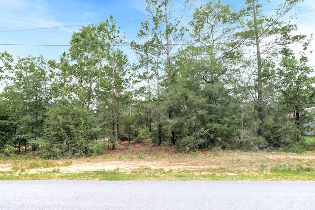 LOT4 Leonardo Ln, Defuniak Springs, FL 32433 - photo 2