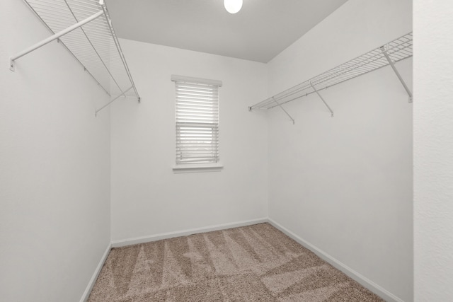 718 Widgeon Way, Crestview, FL 32539 - walk in closet with carpet flooring