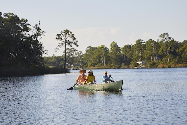 314 W Firethorn Cir Lot 33, Watersound, FL 32461 - water view featuring a heavily wooded area