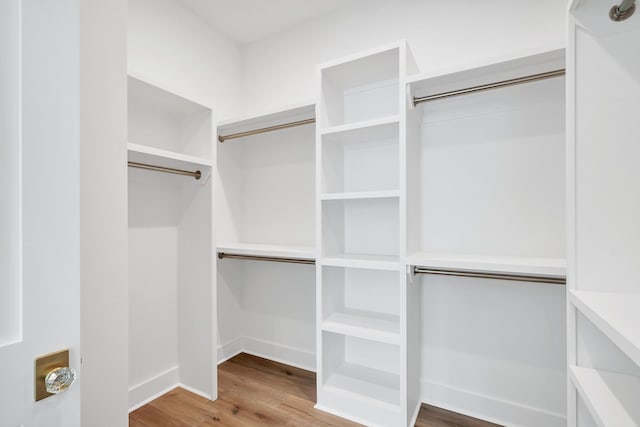 314 W Firethorn Cir Lot 33, Watersound, FL 32461 - spacious closet with wood finished floors