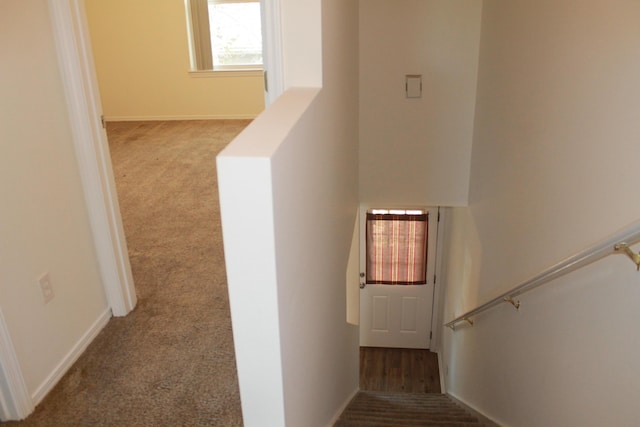 1802 Shay-Lin Ct, Niceville, FL 32578 - staircase with carpet and baseboards