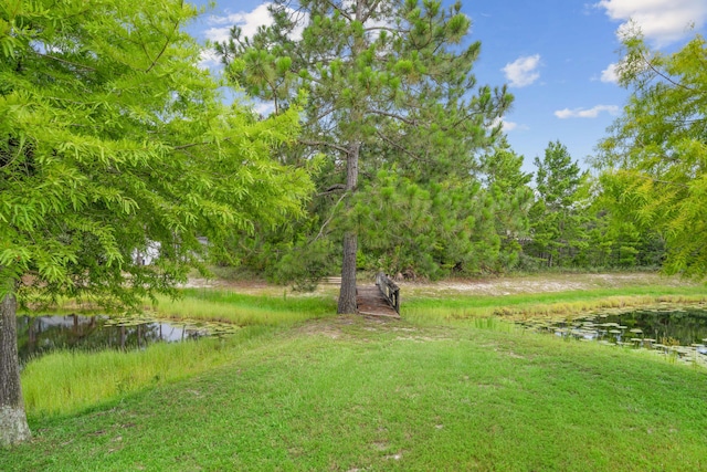 42 Via Largo Unit 42, Santa Rosa Beach, FL 32459 - photo 29