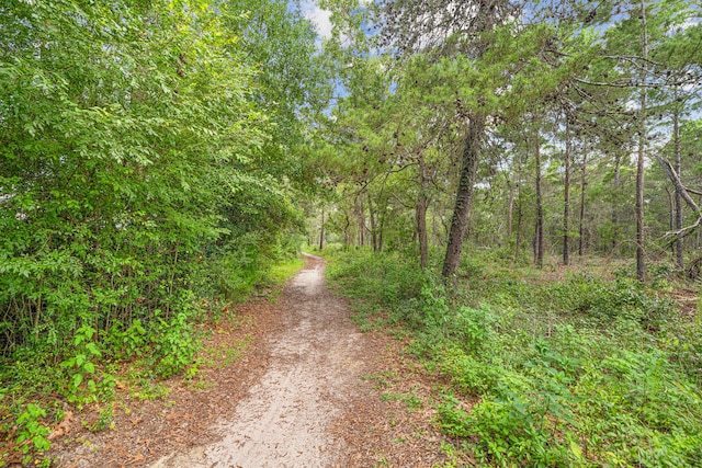 42 Via Largo Unit 42, Santa Rosa Beach, FL 32459 - photo 33