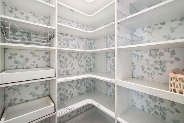 129 Meadow Lake Dr, Freeport, FL 32439 - view of pantry