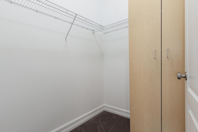 180 Gulf Pines Ct, Freeport, FL 32439 - view of spacious closet