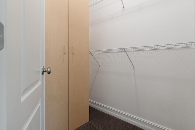180 Gulf Pines Ct, Freeport, FL 32439 - view of spacious closet