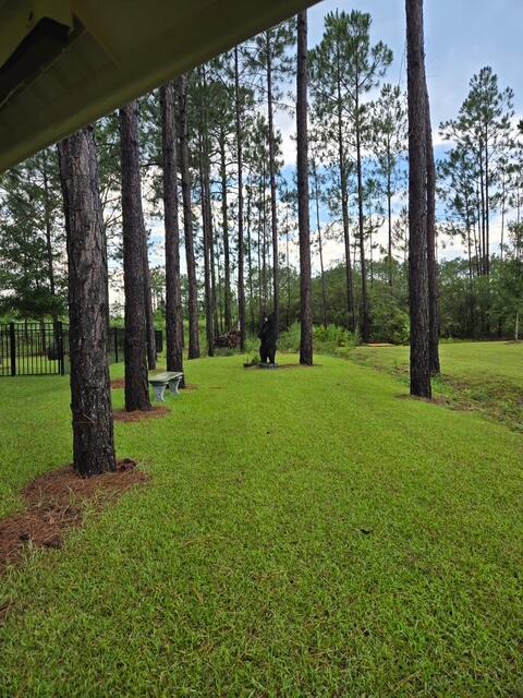 180 Gulf Pines Ct, Freeport, FL 32439 - photo 17