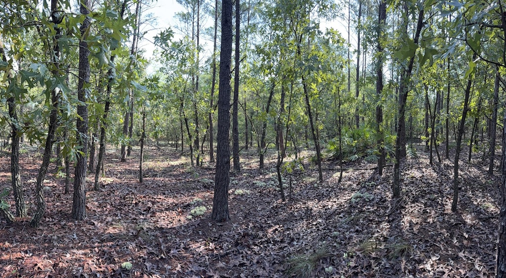 XX J W Hollington Rd, Freeport, FL 32439