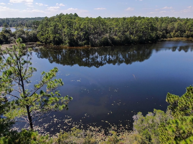LOT20 Magnolia Lake Dr, Defuniak Springs, FL 32433 - photo 3