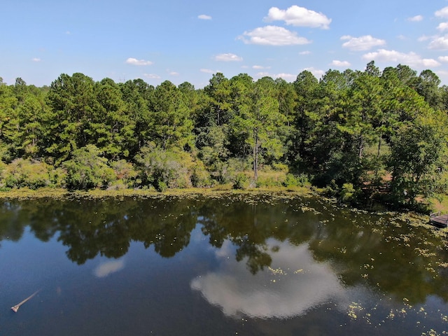 LOT20 Magnolia Lake Dr, Defuniak Springs, FL 32433 - photo 5