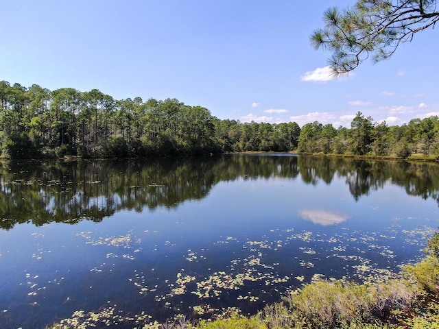 LOT20 Magnolia Lake Dr, Defuniak Springs, FL 32433 - photo 2