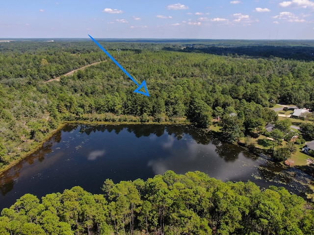 LOT20 Magnolia Lake Dr, Defuniak Springs, FL 32433 - photo 6