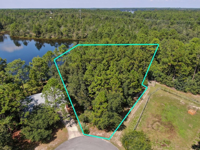 LOT20 Magnolia Lake Dr, Defuniak Springs, FL 32433 - photo 1