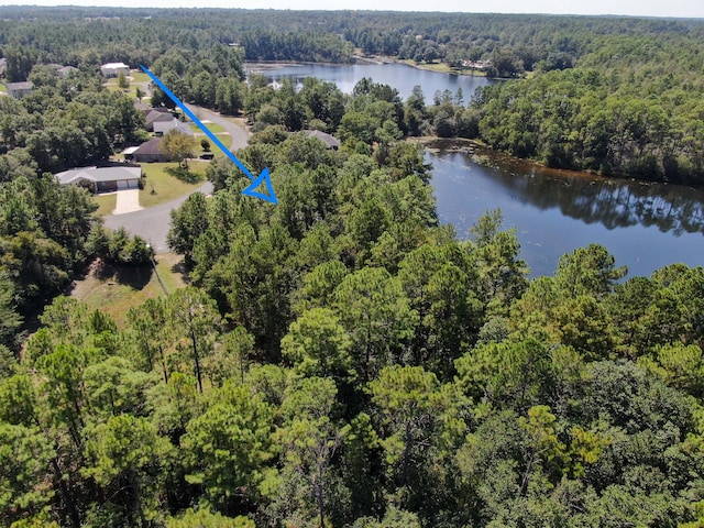 LOT20 Magnolia Lake Dr, Defuniak Springs, FL 32433 - photo 9