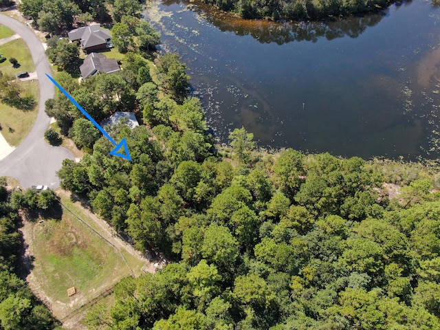 LOT20 Magnolia Lake Dr, Defuniak Springs, FL 32433 - photo 14