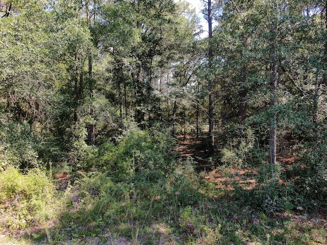 LOT20 Magnolia Lake Dr, Defuniak Springs, FL 32433 - photo 15
