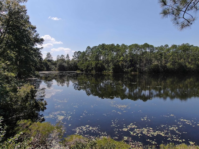 LOT20 Magnolia Lake Dr, Defuniak Springs, FL 32433 - photo 16