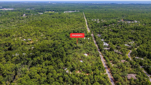 100 Ivy Ln, Santa Rosa Beach, FL 32459 - photo 45