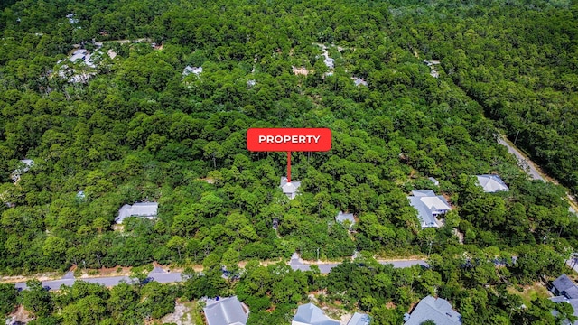 100 Ivy Ln, Santa Rosa Beach, FL 32459 - photo 43