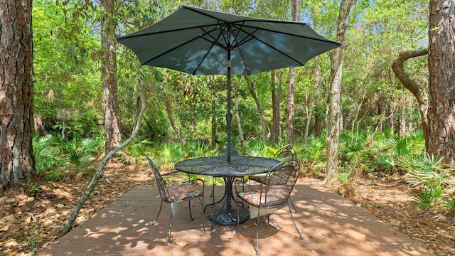 100 Ivy Ln, Santa Rosa Beach, FL 32459 - photo 39