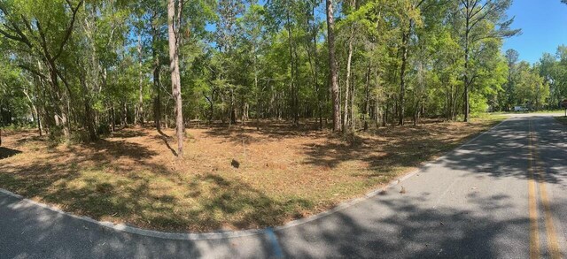 LOT10 Oakcrest Dr, Freeport, FL 32439 - photo 16