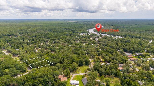LOT10 Oakcrest Dr, Freeport, FL 32439 - photo 5