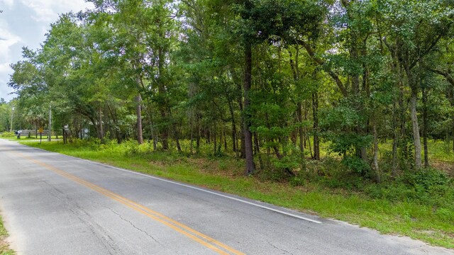 LOT10 Oakcrest Dr, Freeport, FL 32439 - photo 17